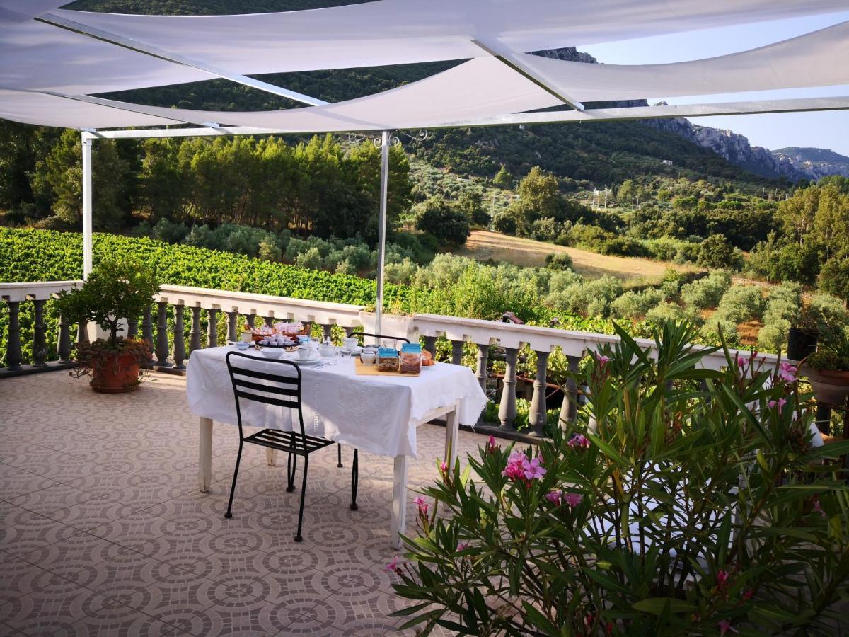 Villa Maria Dorgali Eksteriør billede