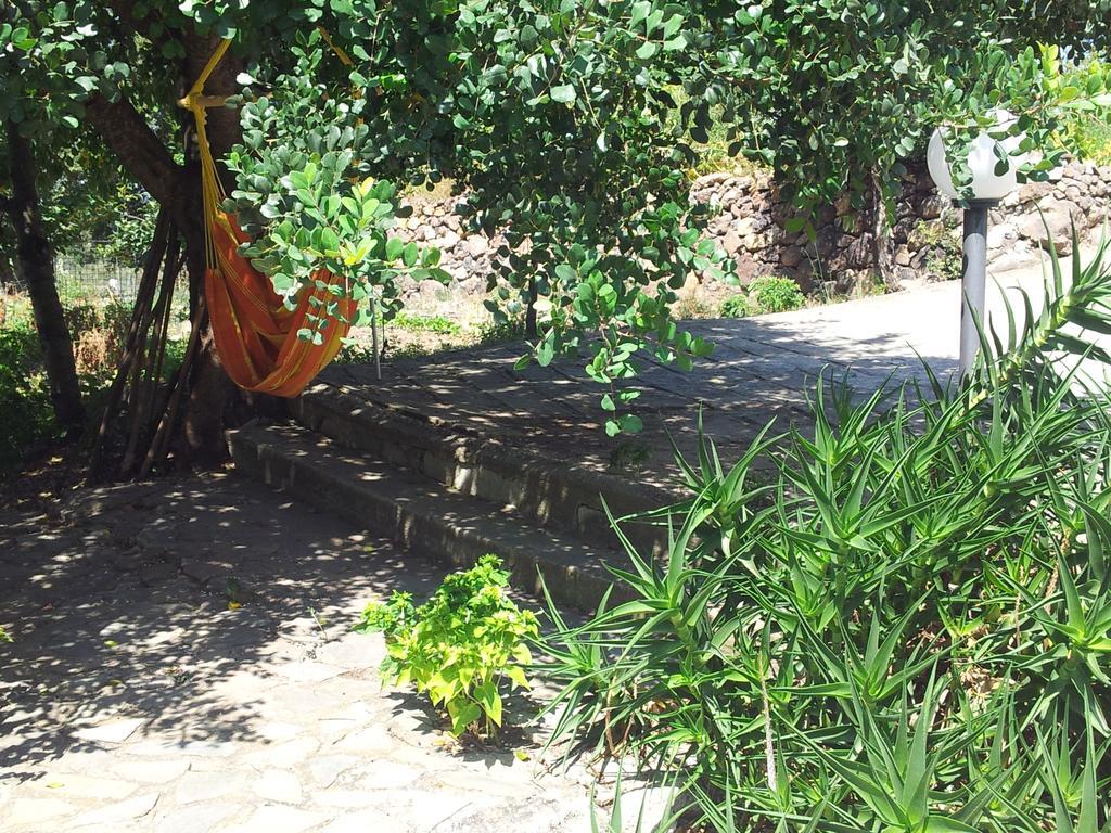 Villa Maria Dorgali Værelse billede