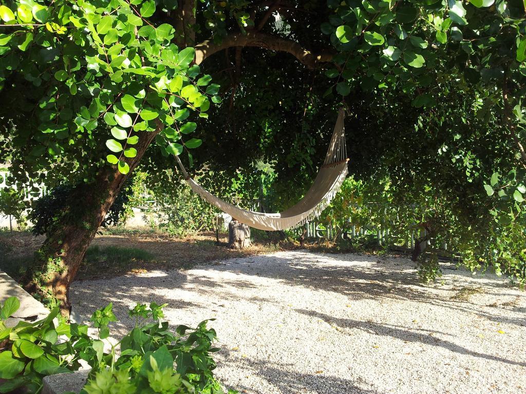 Villa Maria Dorgali Værelse billede