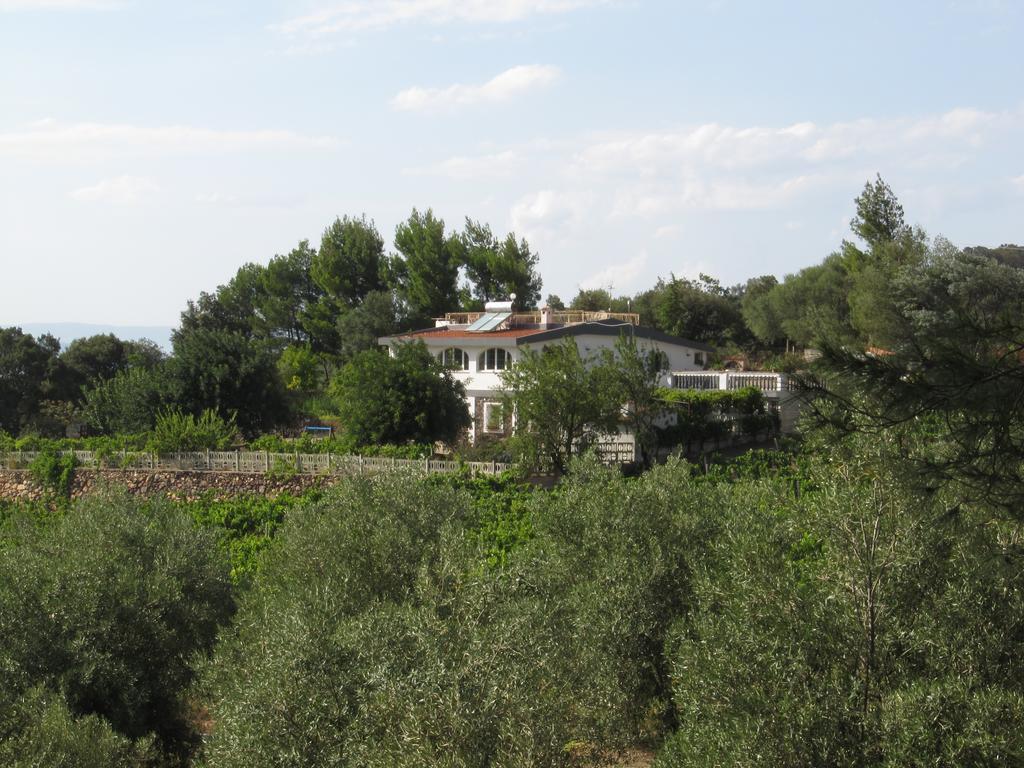Villa Maria Dorgali Værelse billede