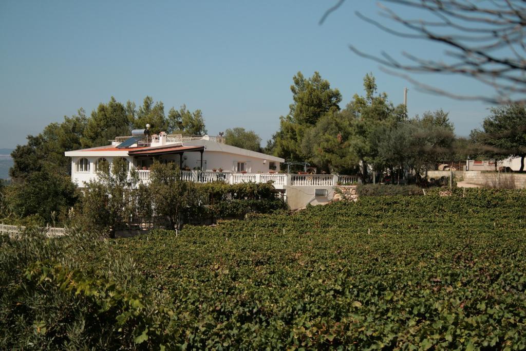 Villa Maria Dorgali Eksteriør billede